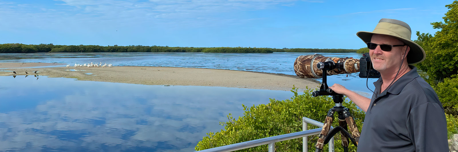 Jay at Ding Darling Refuge